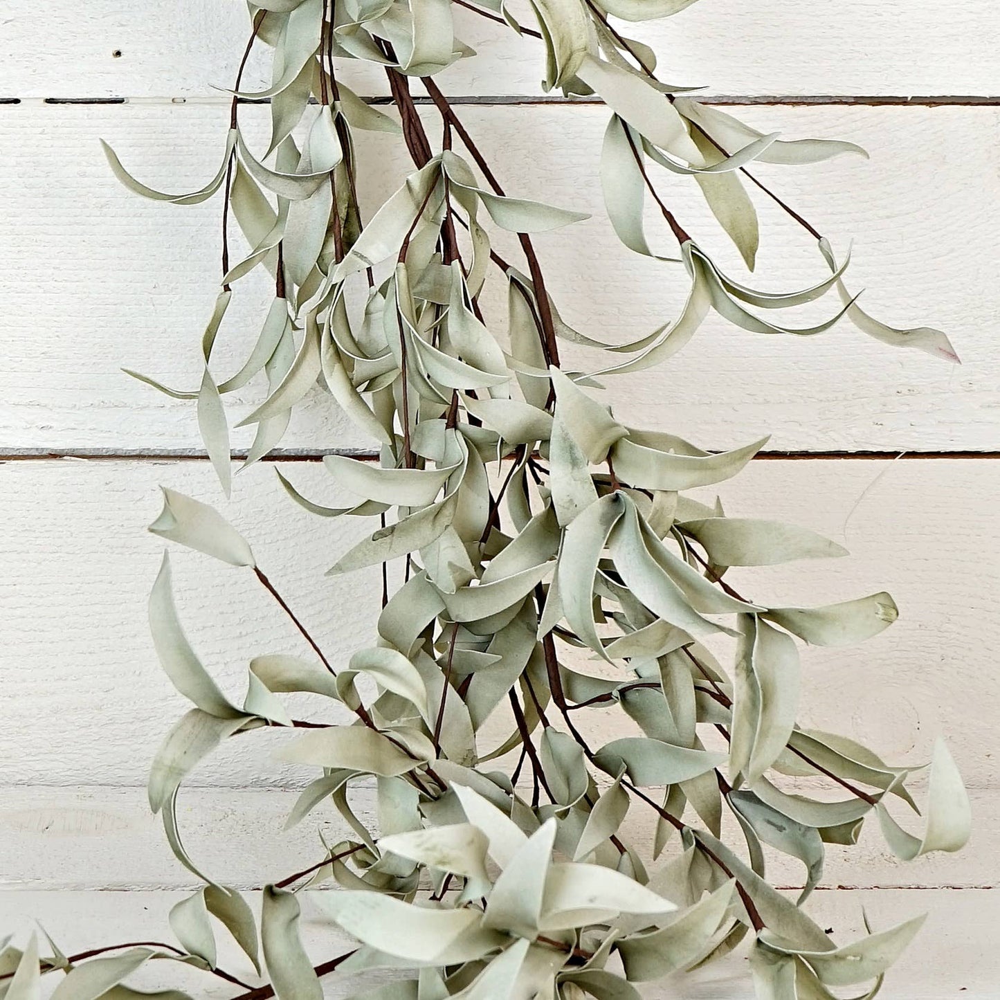 ISB72661- 4.5ft Flocked Herb Leaves Garland